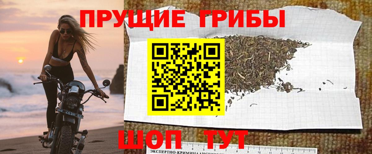 где можно купить   Вход с VPN  Астрахань  Галлюциногенные грибы Cubensis 