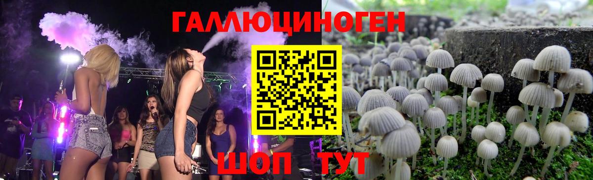 Галлюциногенные грибы мухоморы Астрахань